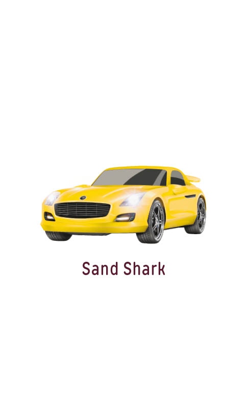 card-popup
